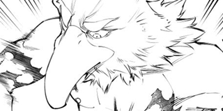 ch. 266