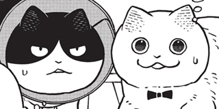 ch. 18