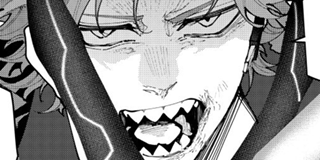 ch. 55