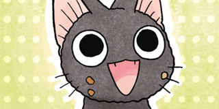 ch. 105