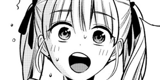 ch. 295