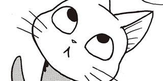 ch. 48